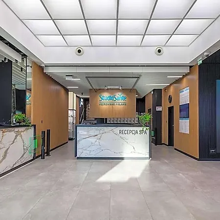 Sante Hotel 4*